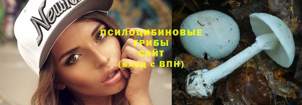 трава Беломорск